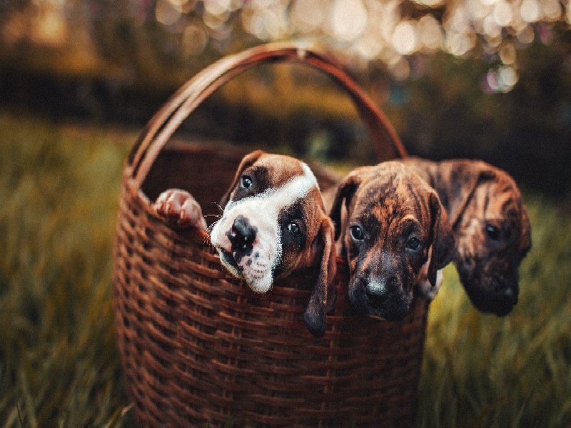 珠海三代供卵例子,山东临沂做试管婴儿成功率最高的医院是哪里？如何选-珠海